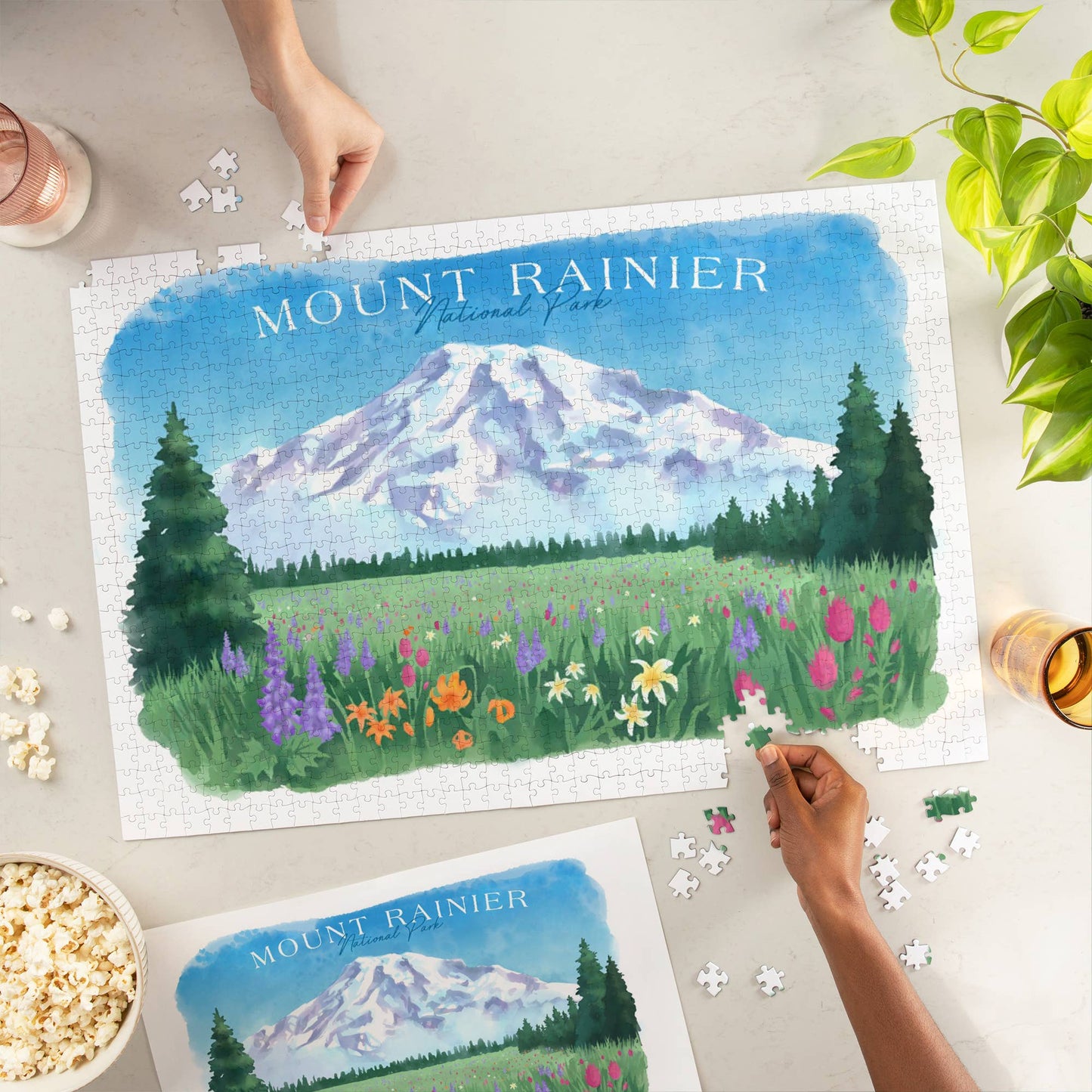 1000 Piece Puzzle Rainier National Park Washington Botanical