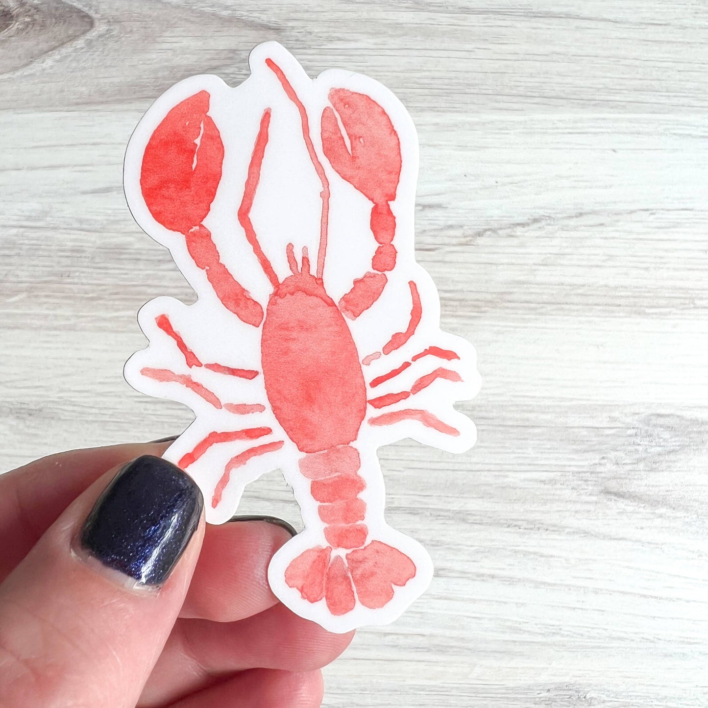 Watercolor Lobster Sticker | Red Lobster Sticker | 2" x 3"