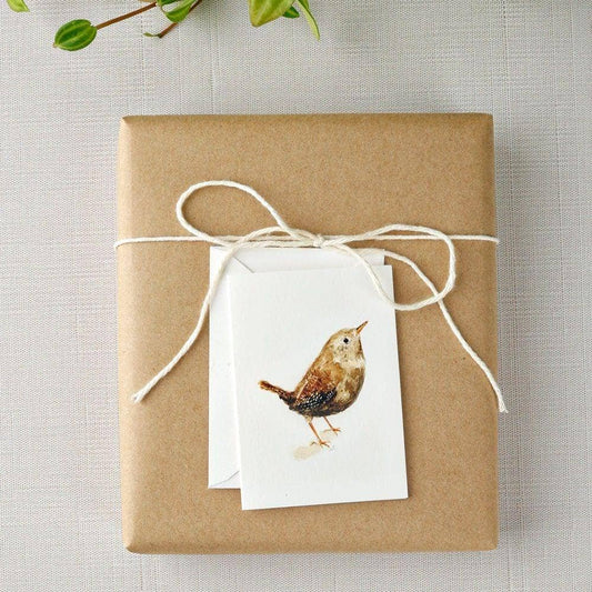Wren bird mini enclosure notecard