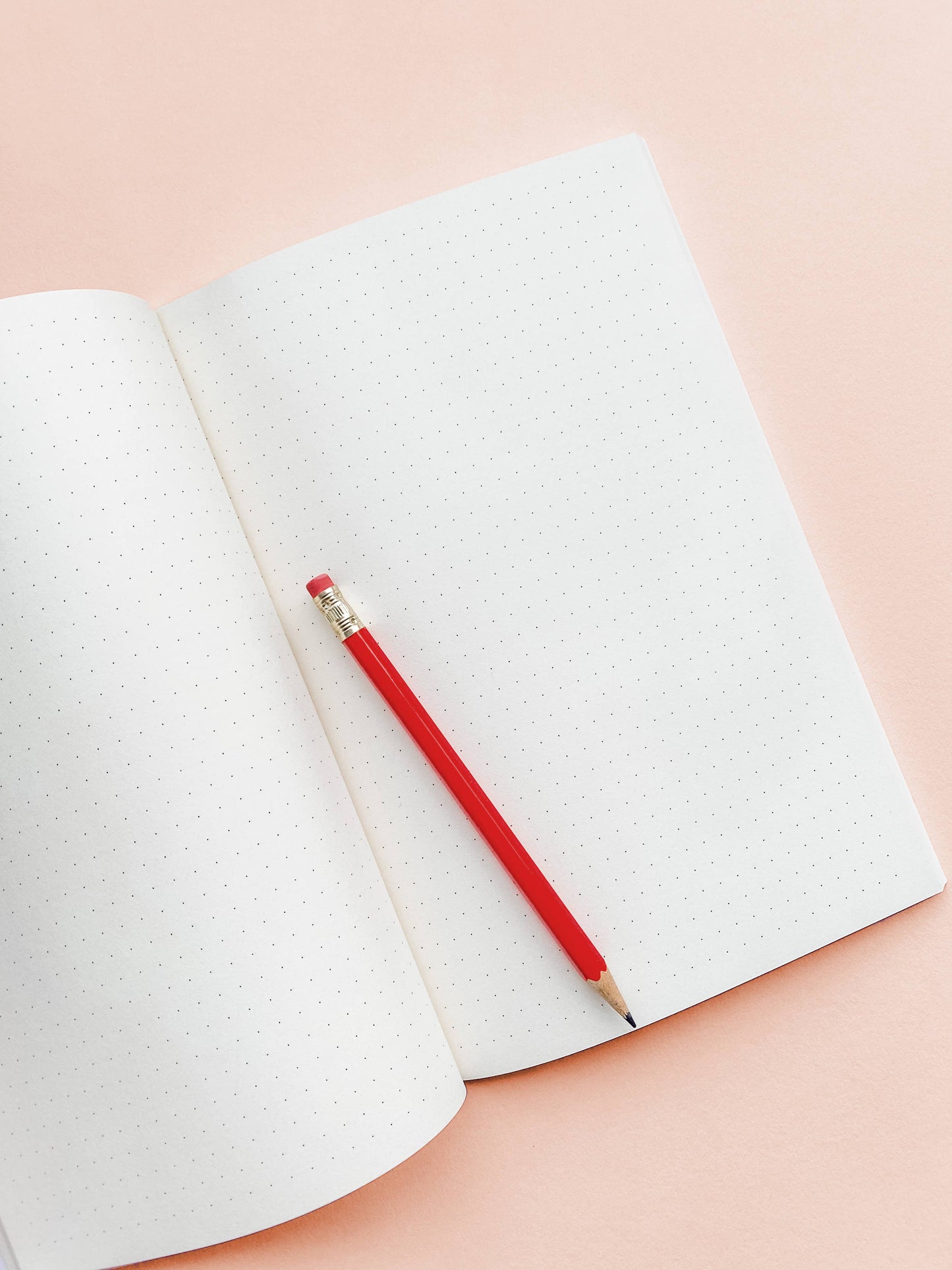 I: The Girls Notebook