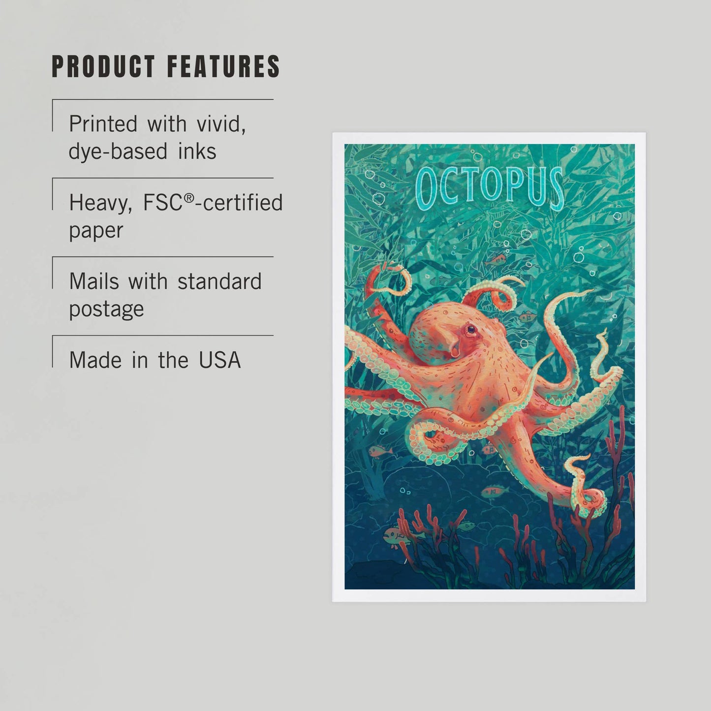 Fluid Linework, Octopus Premium Postcards