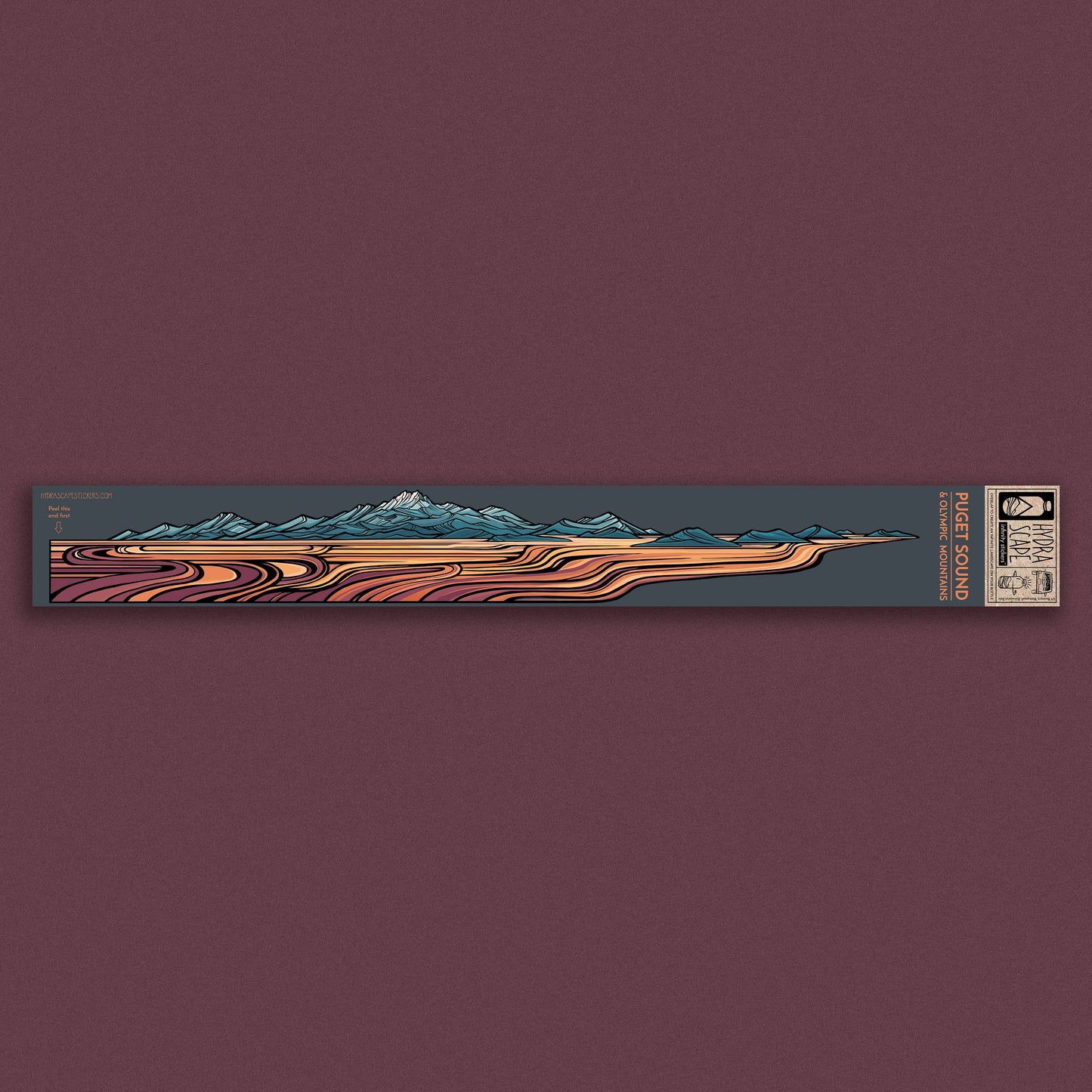 Puget Sound & Olympics Infinity Sticker