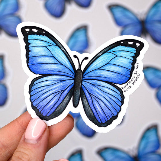 Blue Morpho Butterfly Sticker