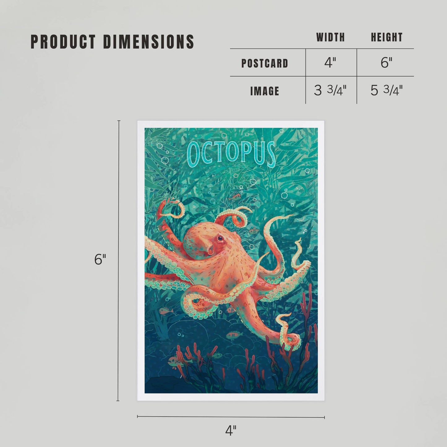 Fluid Linework, Octopus Premium Postcards