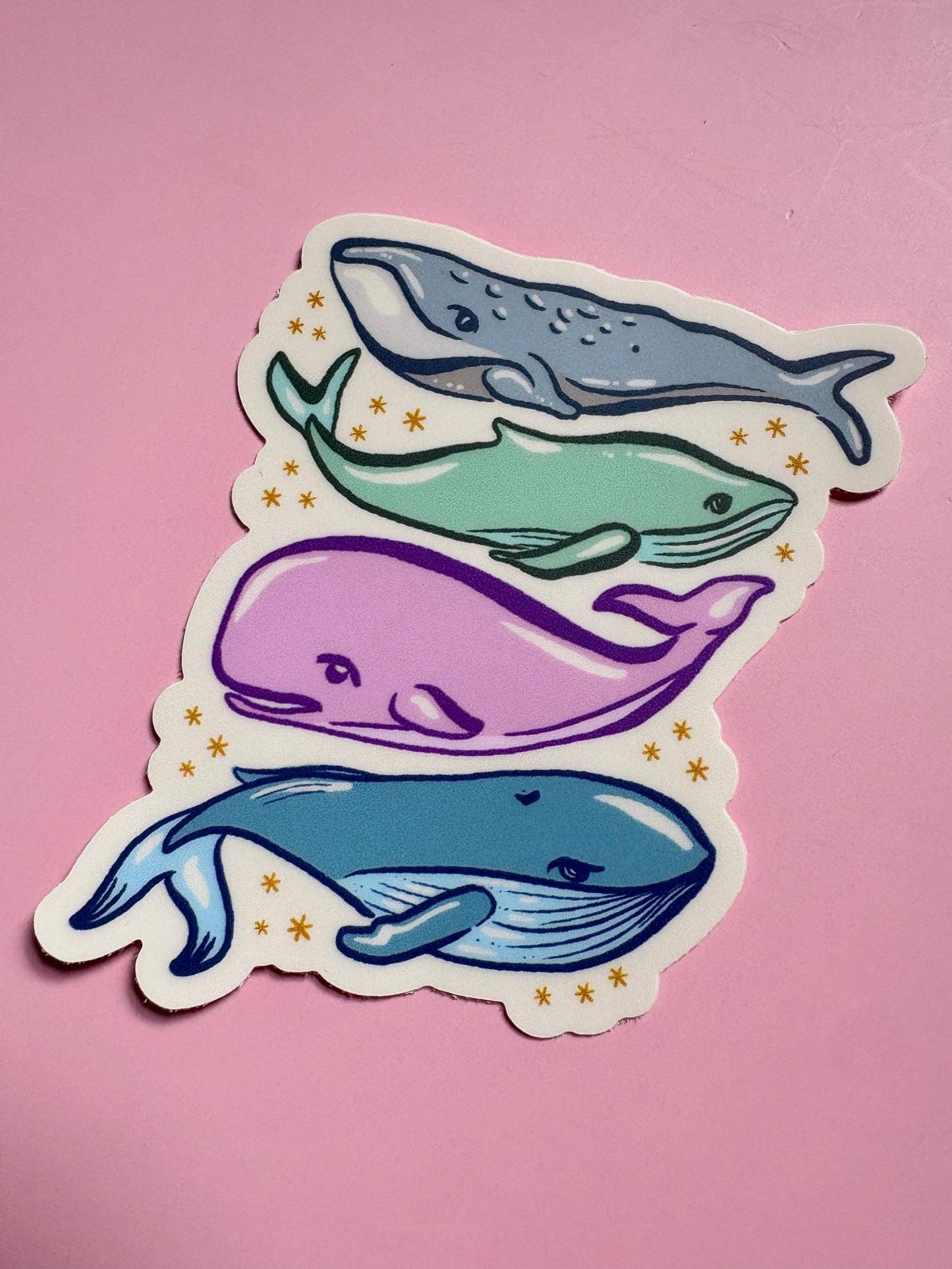 Whale Sticker, Humpback, Puget Sound, Blue Whale, Marine