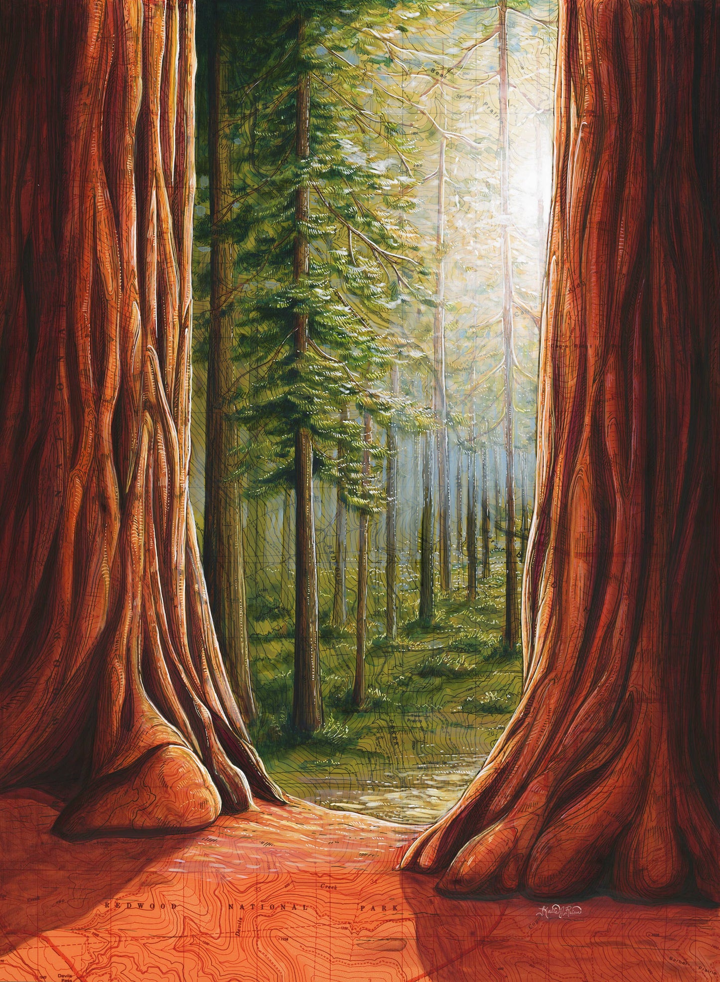 Redwood National Park Fine Art Matted Print