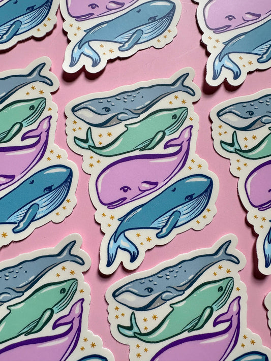 Whale Sticker, Humpback, Puget Sound, Blue Whale, Marine