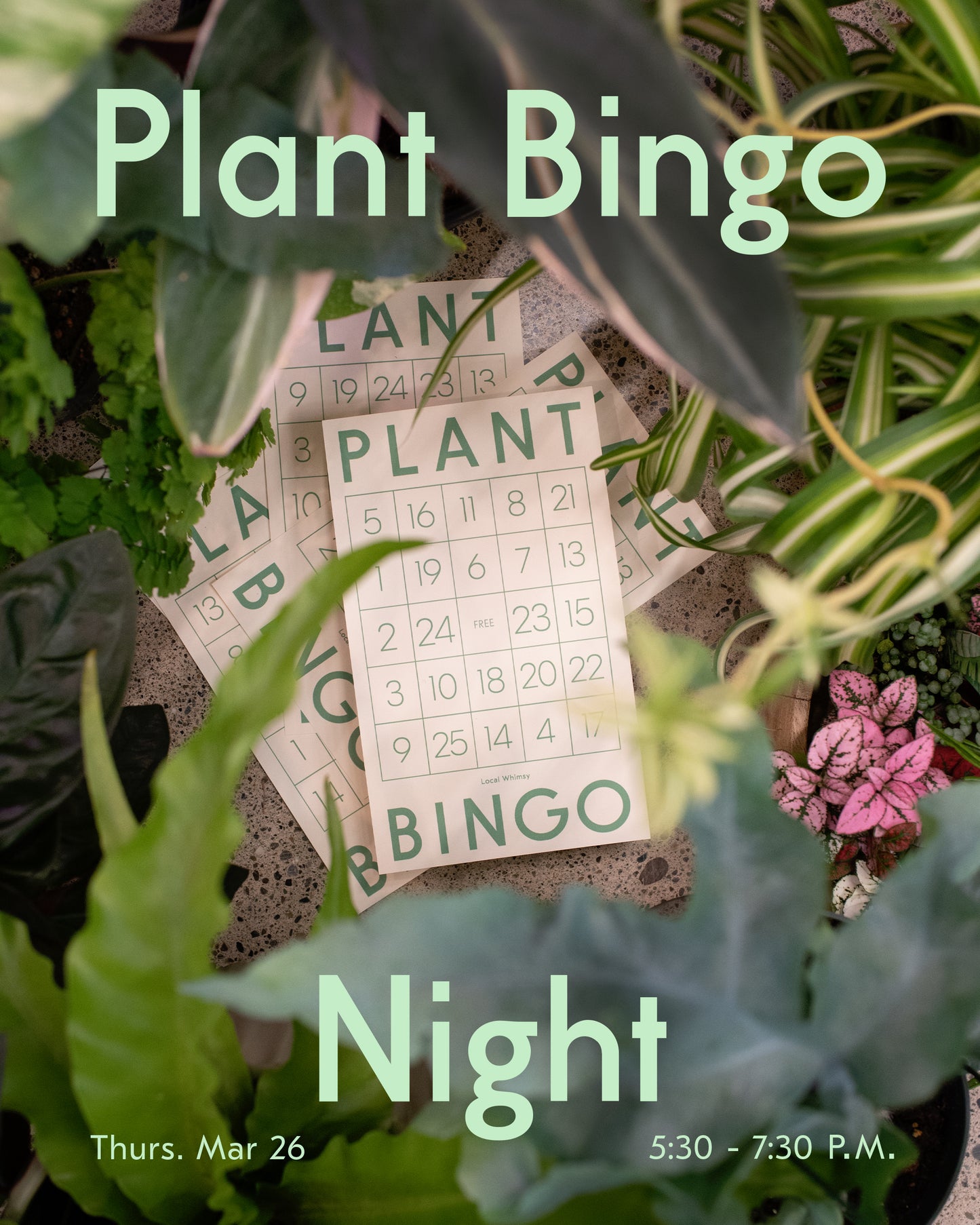 Plant Bingo Night