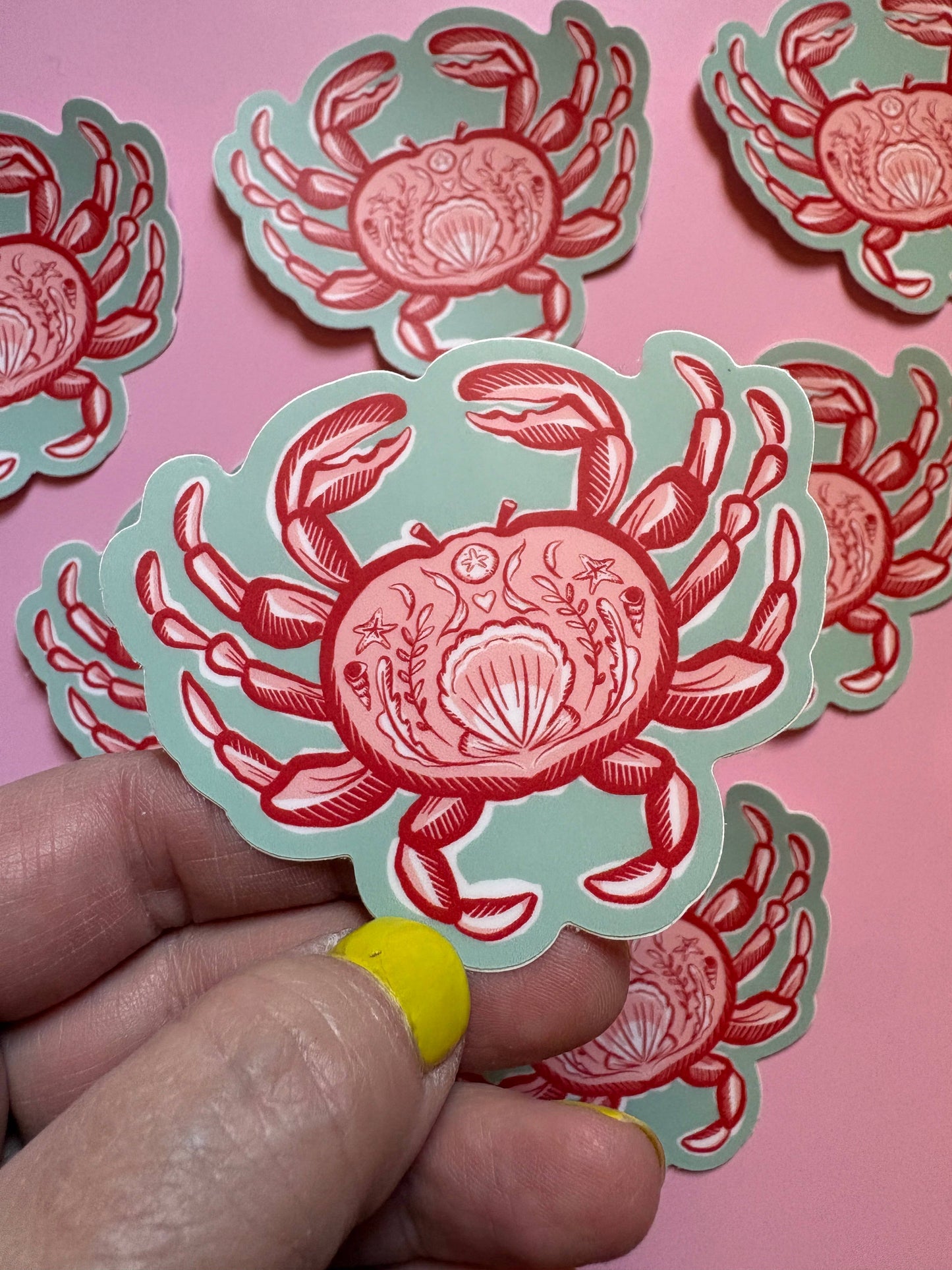 Crab Sticker, Dungeness Crab, Beach, Sea Food, Shell