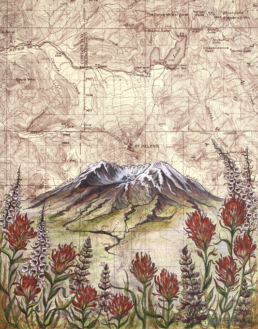 Mt St Helens Wildflowers Fine Art Matted Print