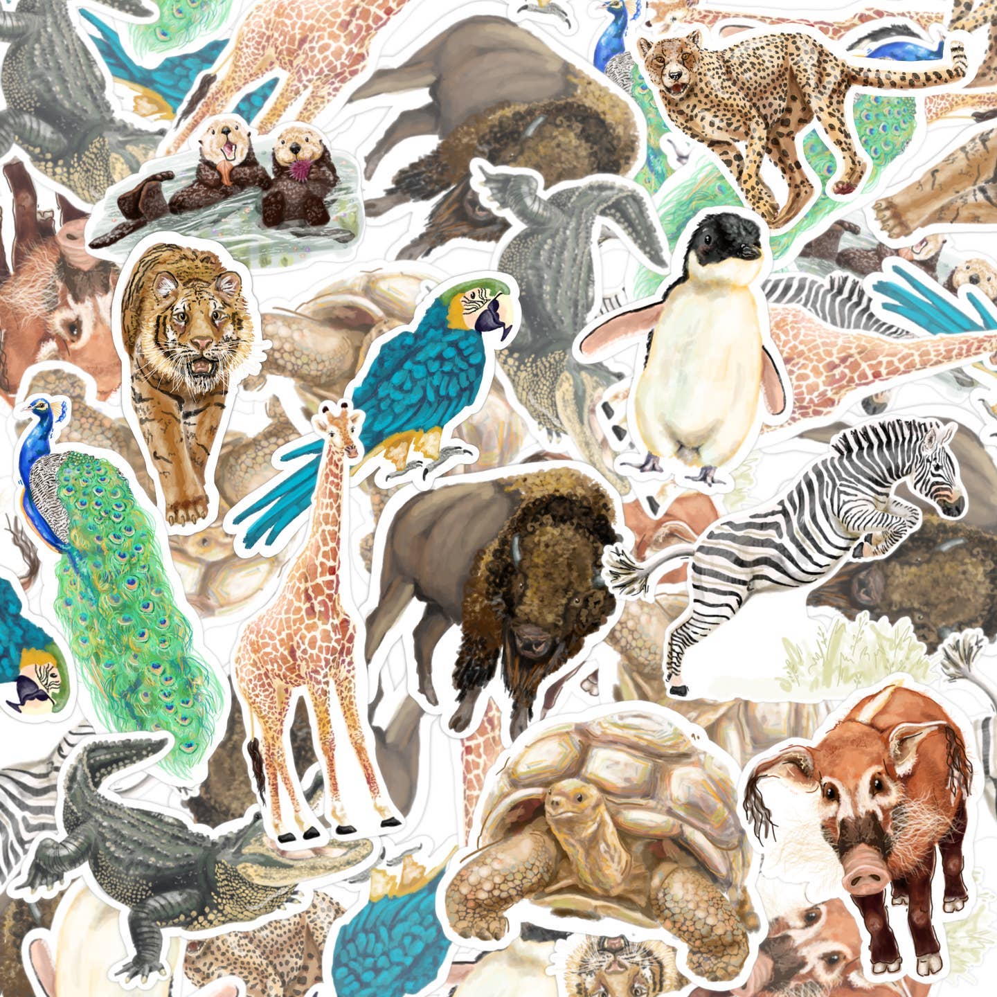 Capybara, zoo/wild animal -vinyl sticker
