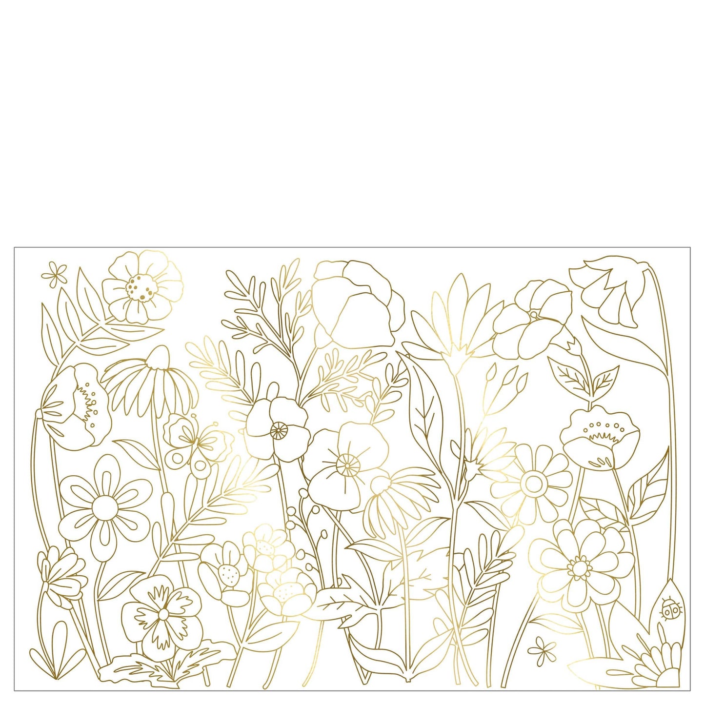 Butterfly Colouring Posters
