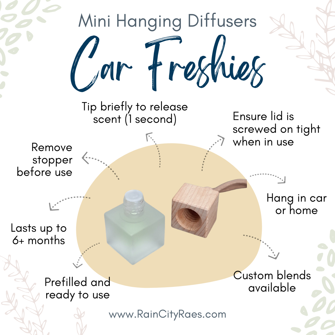 Car Freshie Frosted Hanging Diffuser | Fragrance Oils