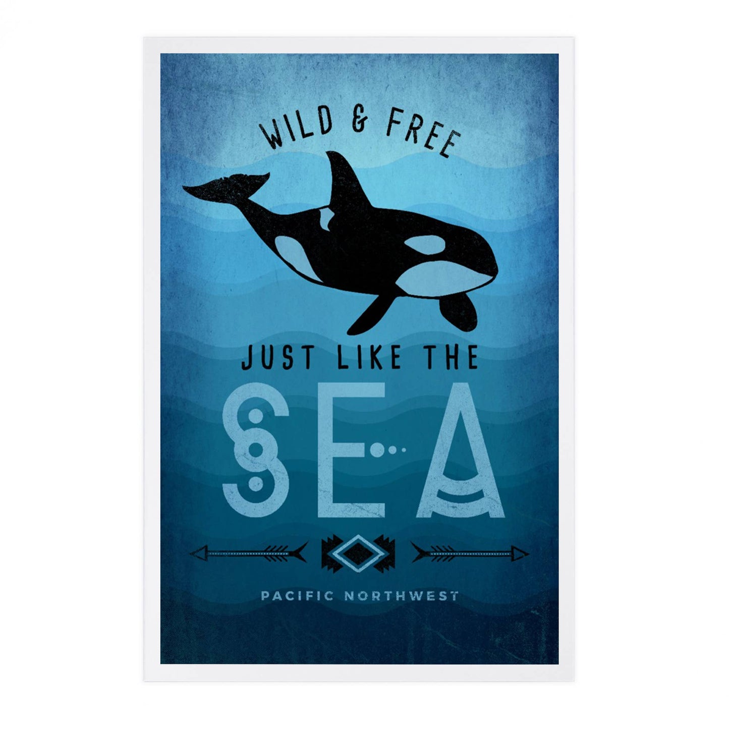 Wild and free Orca PREMIUM POSTCARDS Pacific Northwest,