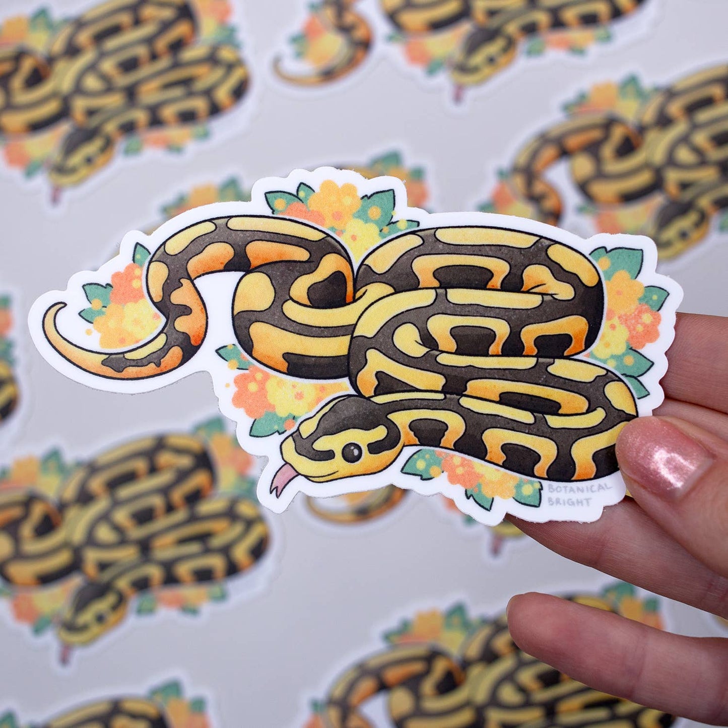 Snake Ball Python Waterproof Vinyl Sticker