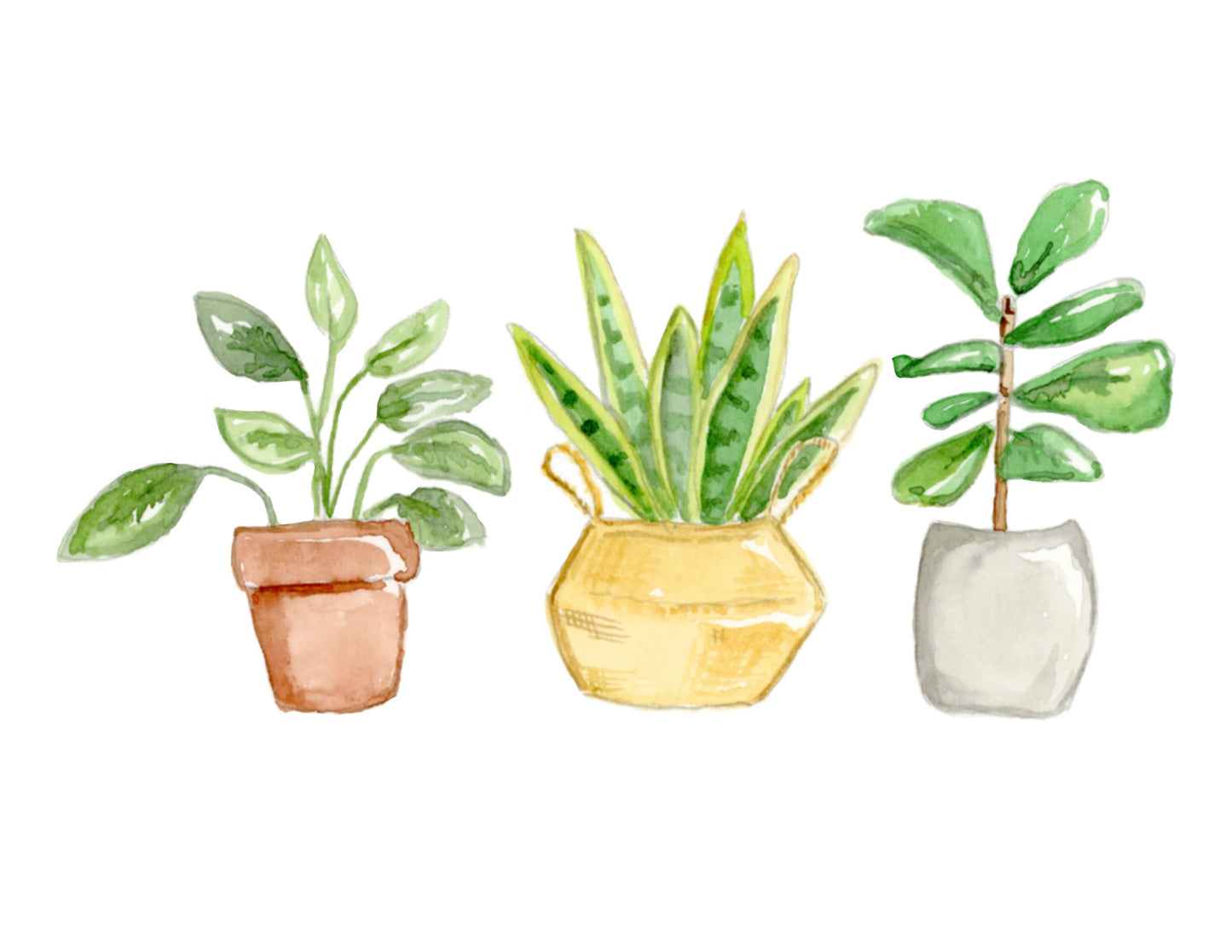Plant Sticker