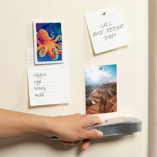 Octopus Magnet