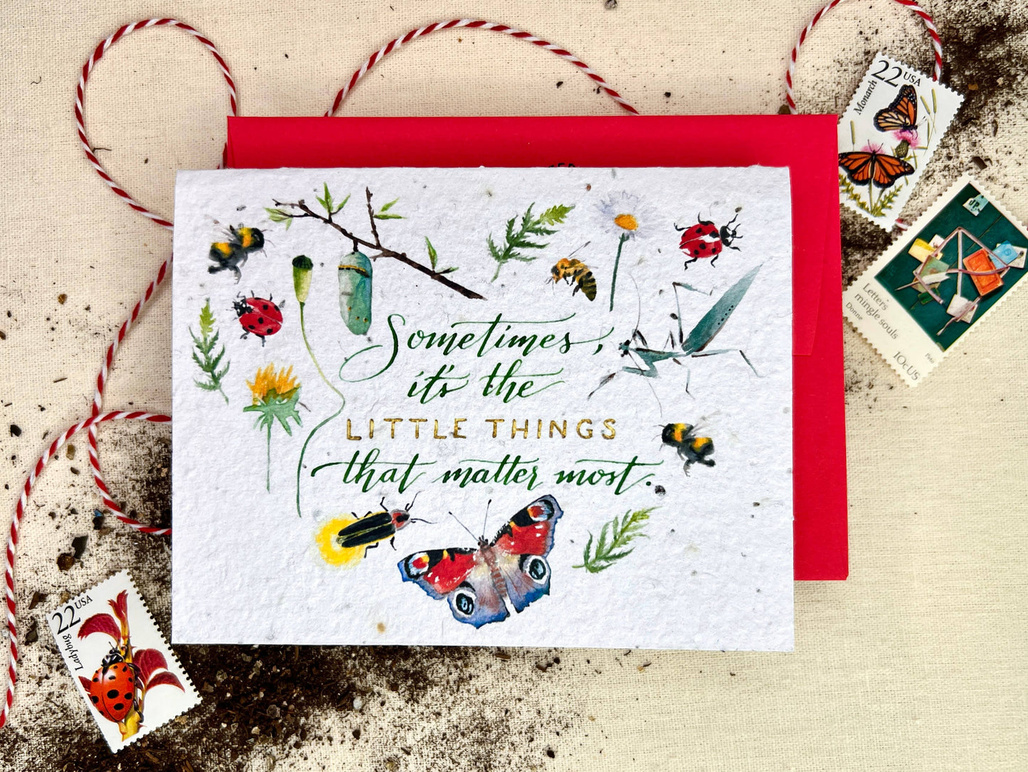 The Little Things Plantable Wildflower Seed Card: Compostable Cello Sleeves, White