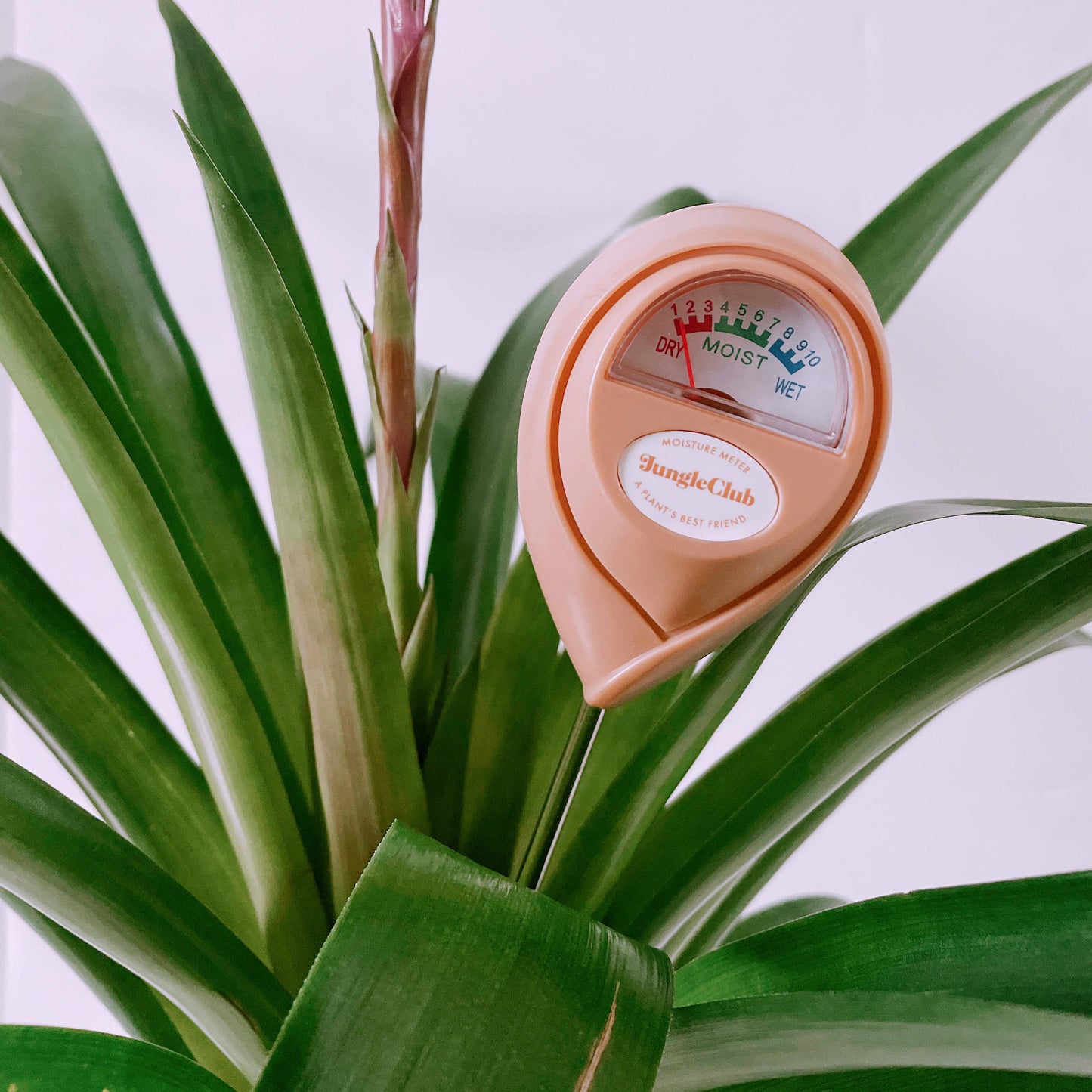 Moisture Meter in Pink