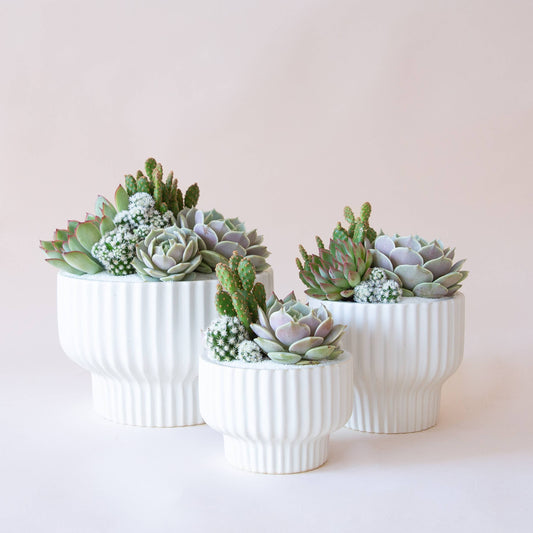 Presley Pedestal Pot - White: 4.5 inch