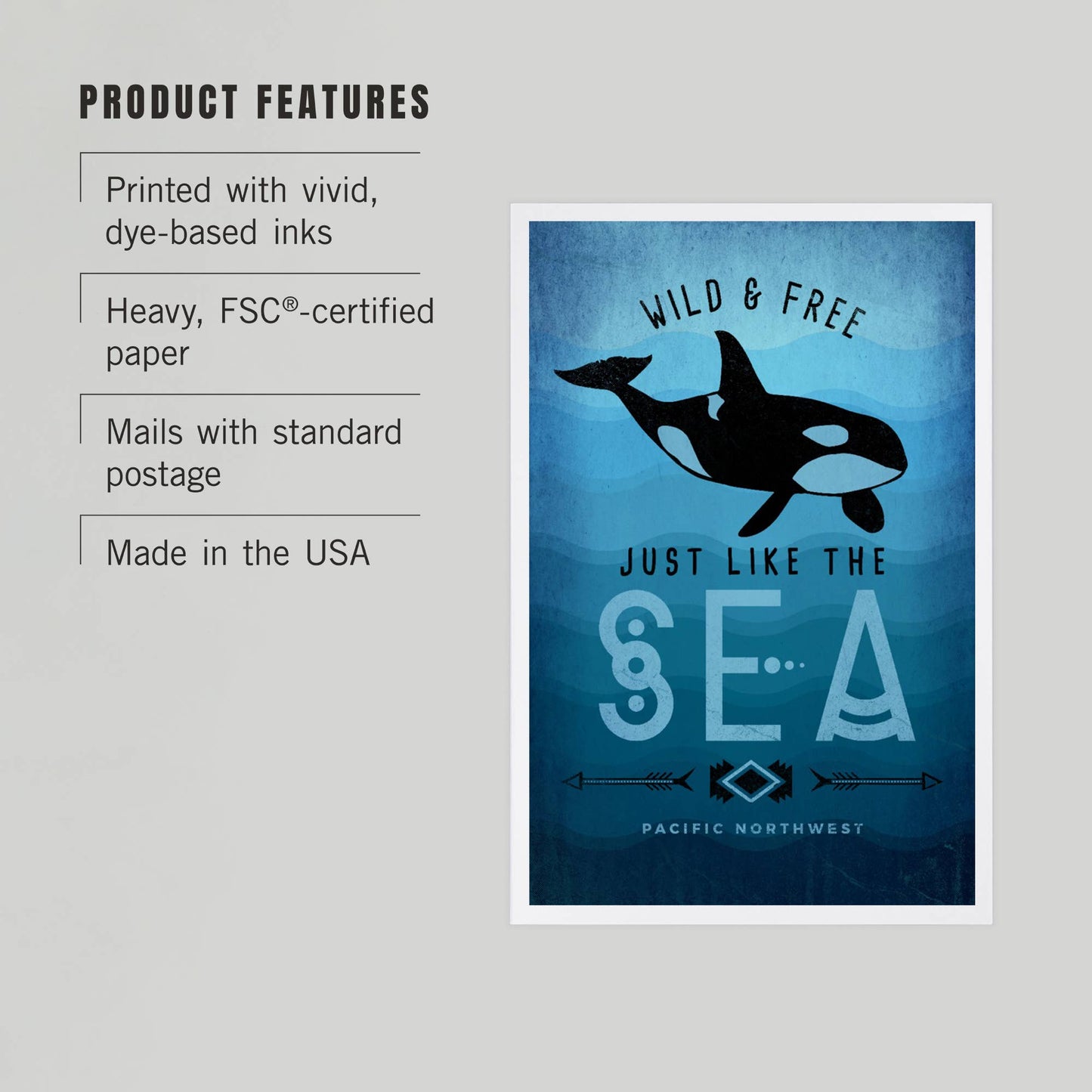 Wild and free Orca PREMIUM POSTCARDS Pacific Northwest,