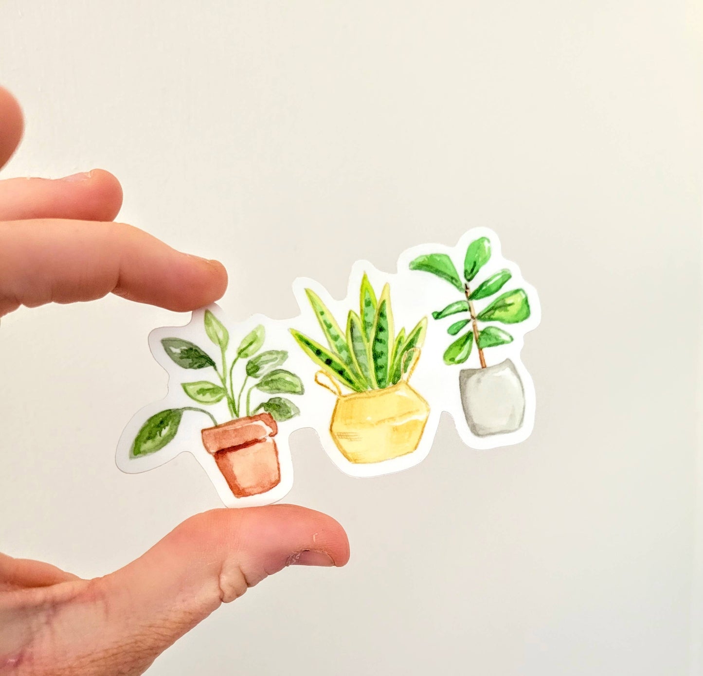 Plant Sticker