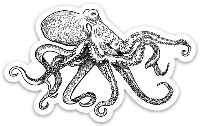 Octopus Sticker