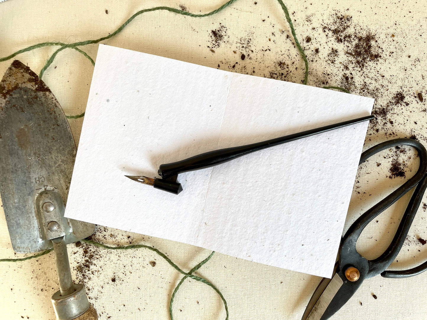 The Little Things Plantable Wildflower Seed Card: Compostable Cello Sleeves, White