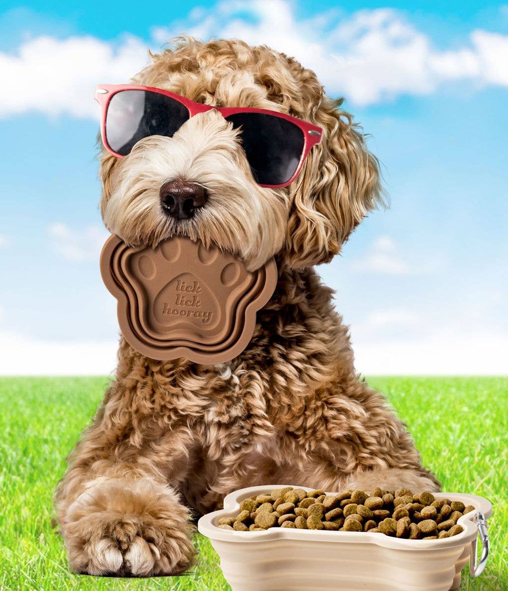 Collapsible Doggie Di Modern Monkey sWAG sh