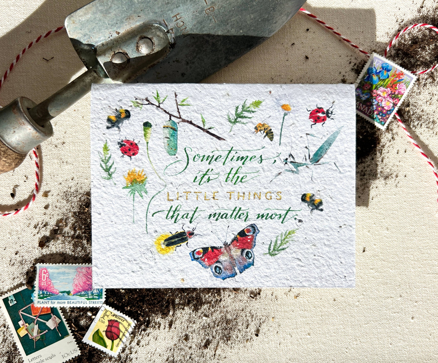 The Little Things Plantable Wildflower Seed Card: Compostable Cello Sleeves, White