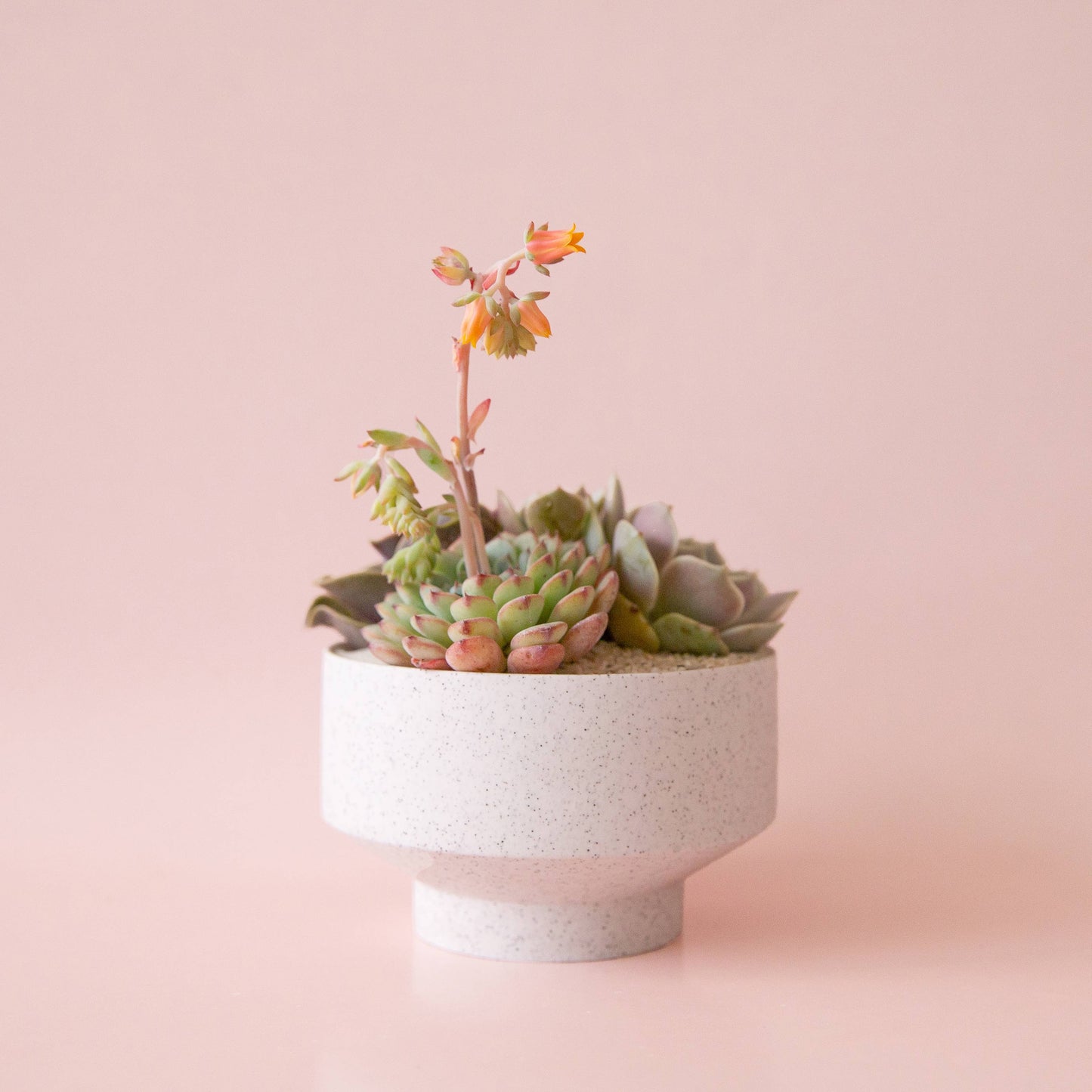 Speckle Footed Pot | White Large