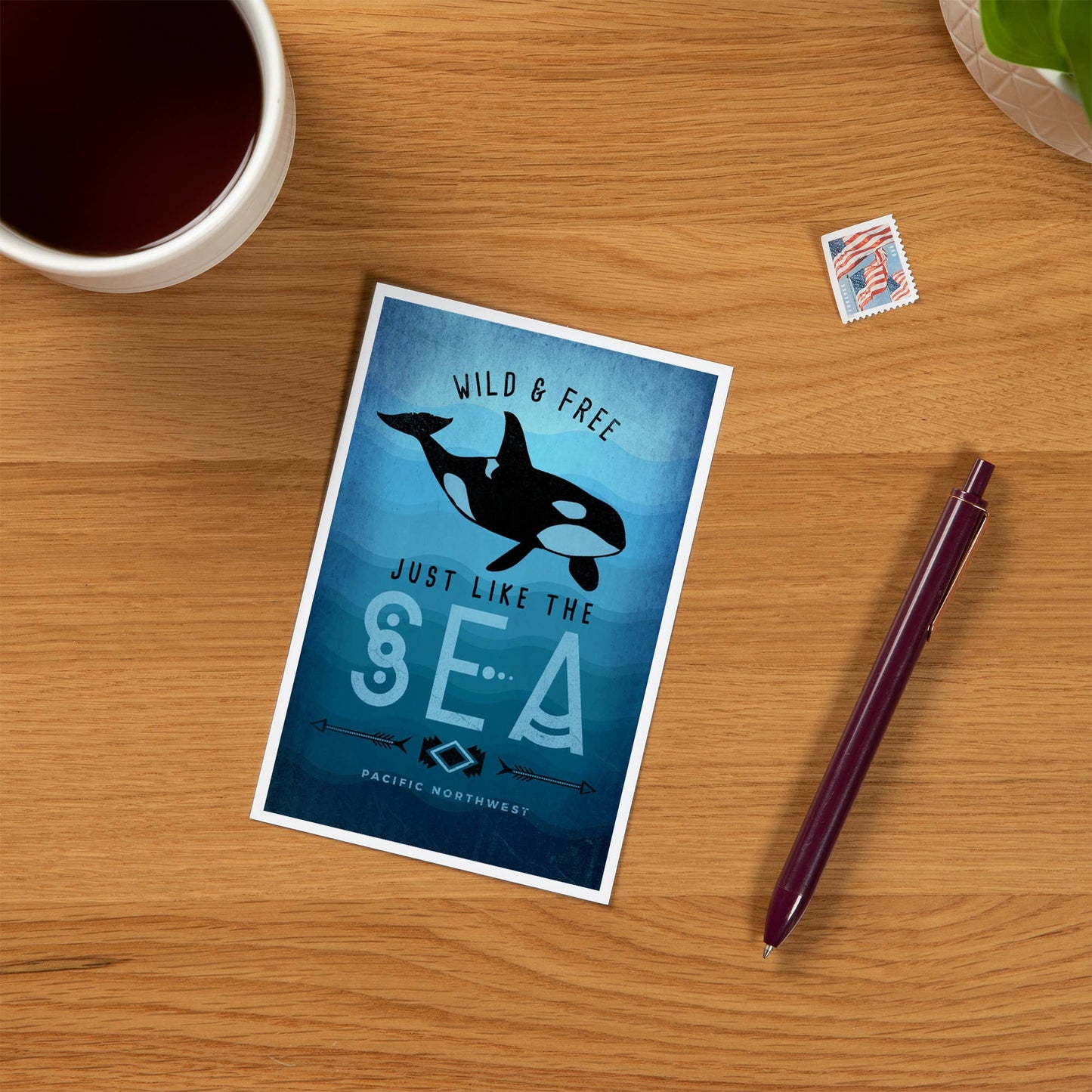 Wild and free Orca PREMIUM POSTCARDS Pacific Northwest,
