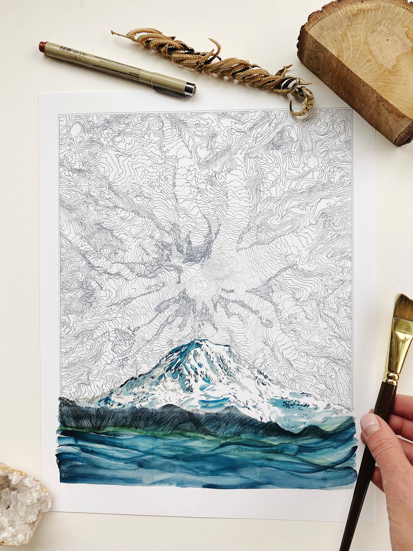Mount Rainier TAHOMA Topo Mountain ART PRINT : 11 x 14