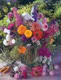 Flowers for Pollinators - Wildflower Mix Seed Packets