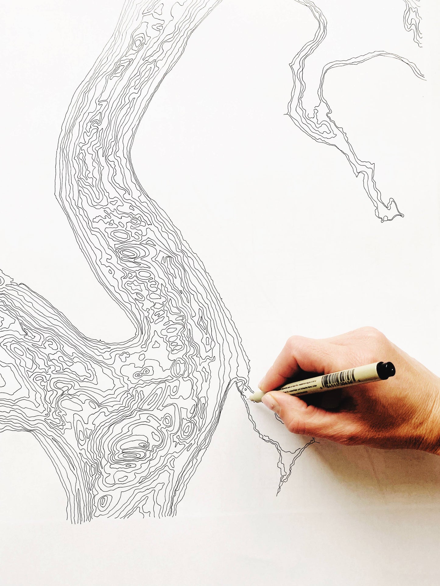 Tacoma NARROWS + Gig Harbor WA Hand Drawn Topo Map ART PRINT: 8 x 10