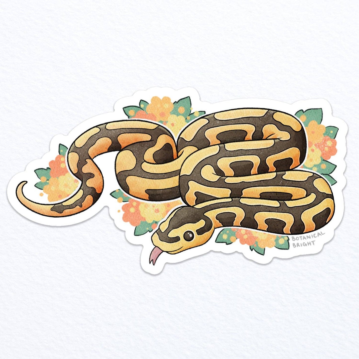Snake Ball Python Waterproof Vinyl Sticker