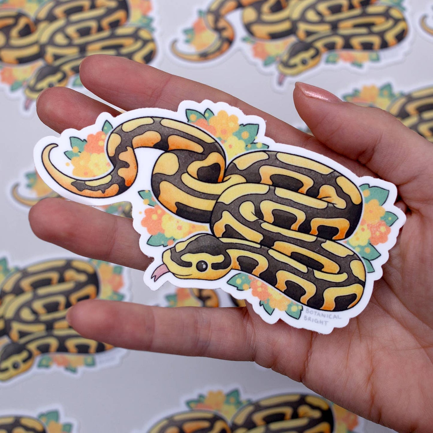 Snake Ball Python Waterproof Vinyl Sticker