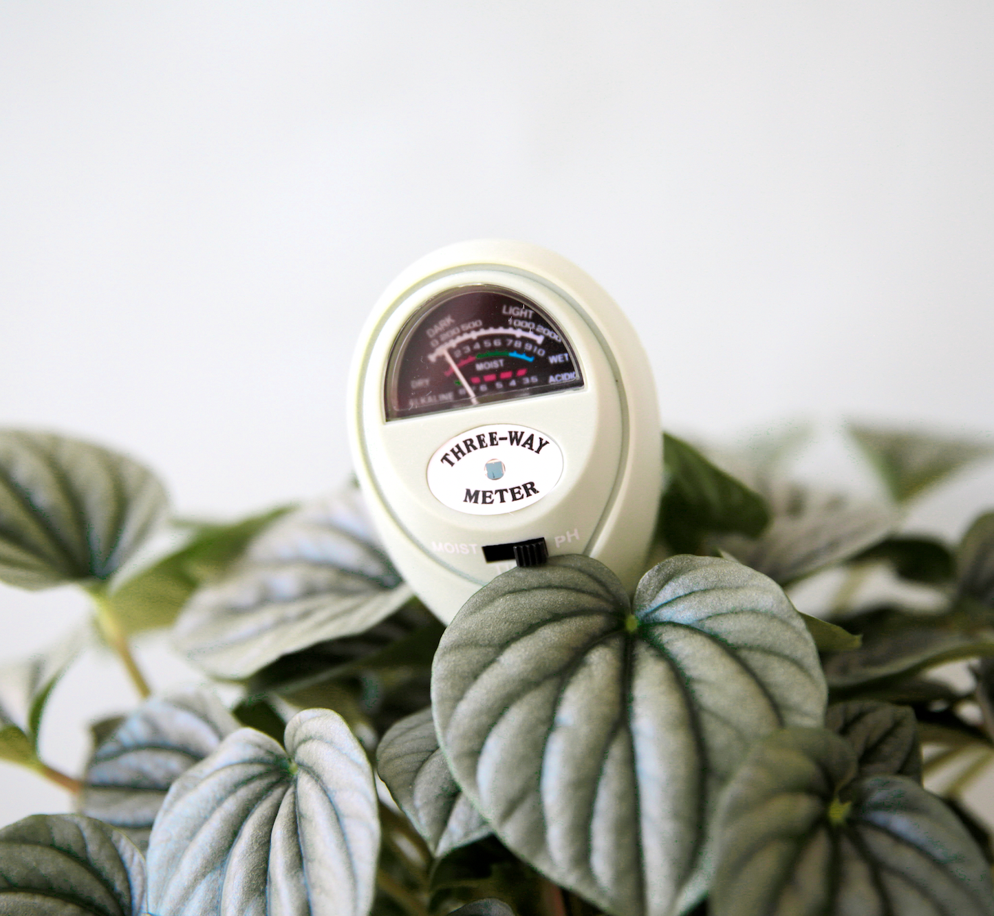 3 in 1 Moisture Meter in Blue