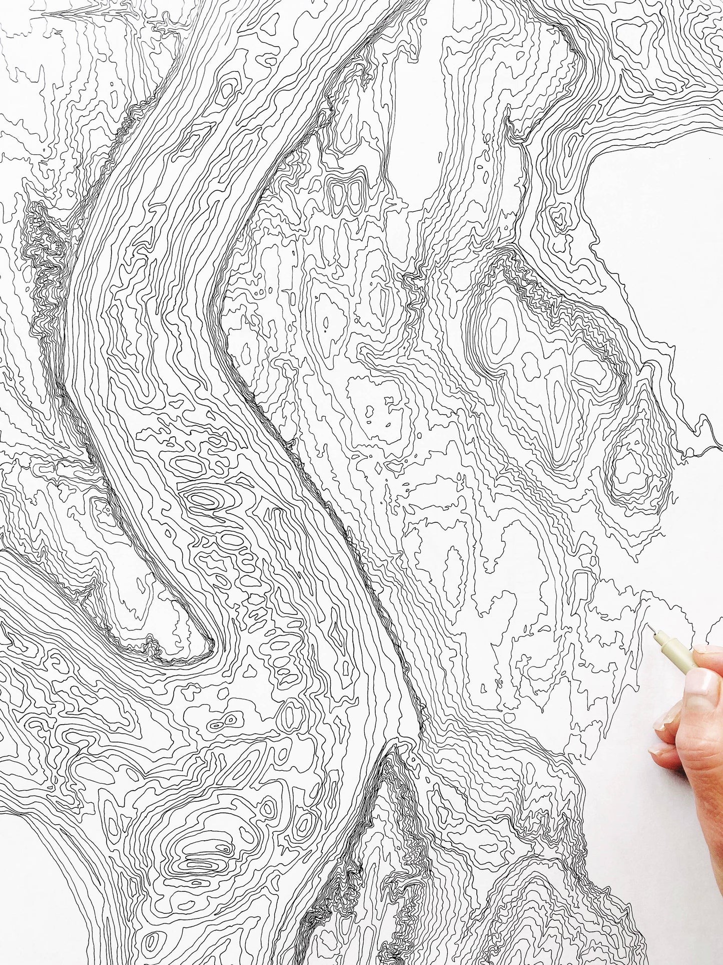 Tacoma NARROWS + Gig Harbor WA Hand Drawn Topo Map ART PRINT: 8 x 10