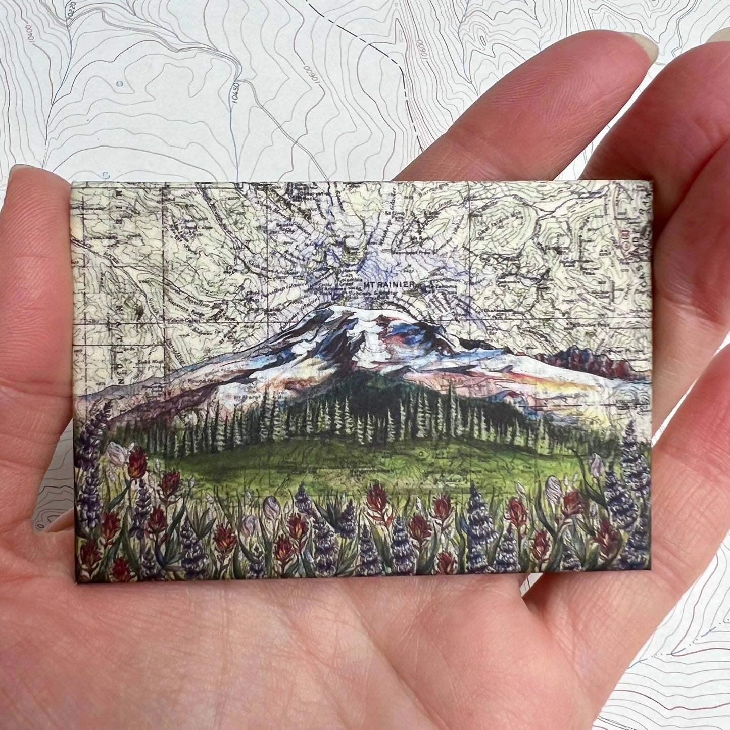 Washington Mt Rainier Magnets: Rainier Morning