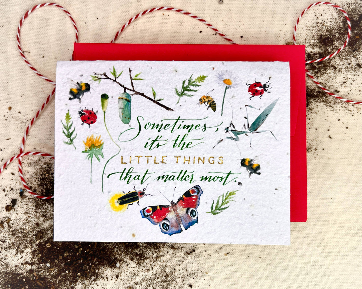The Little Things Plantable Wildflower Seed Card: Compostable Cello Sleeves, White