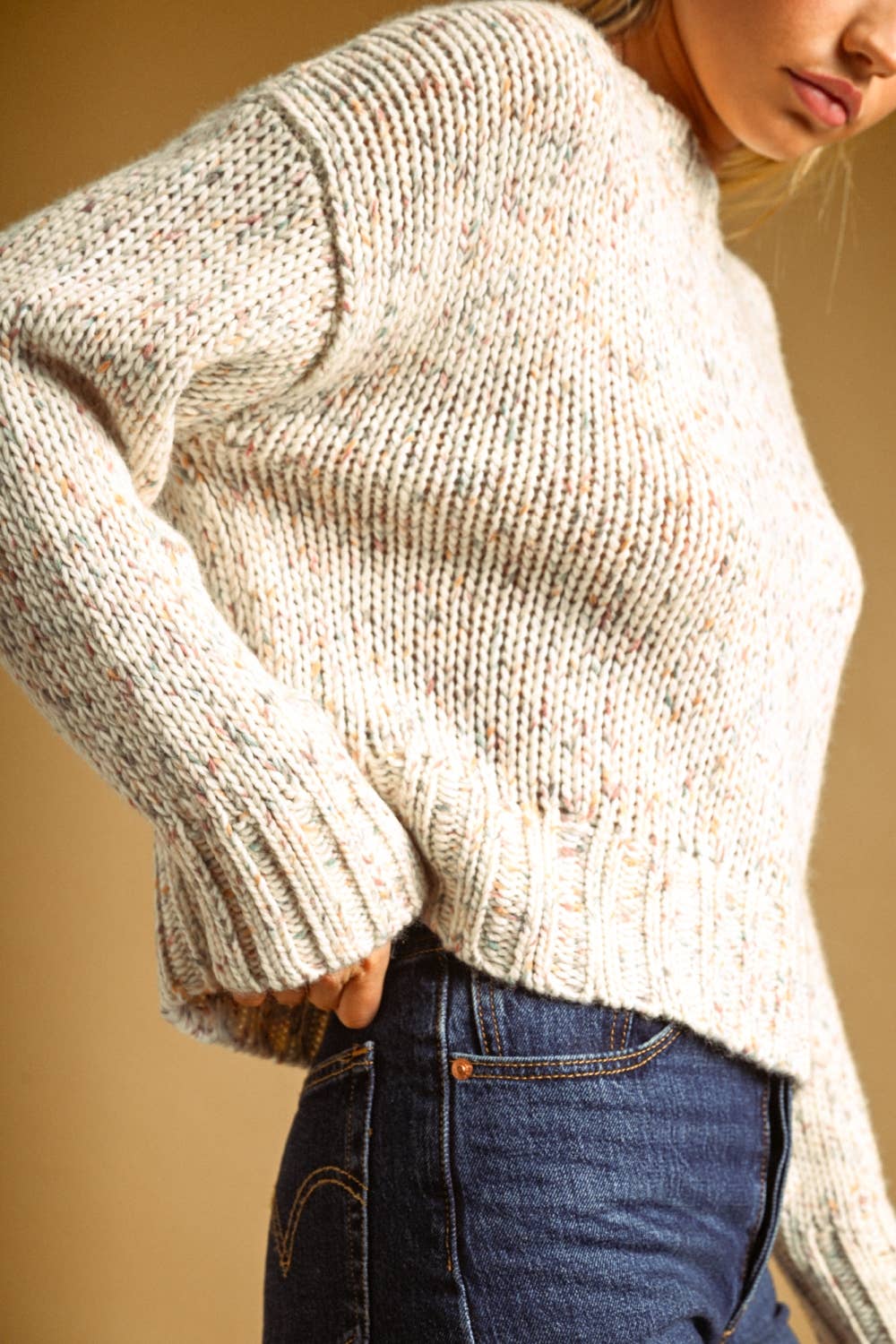 Multi-Color Fleck Sweater