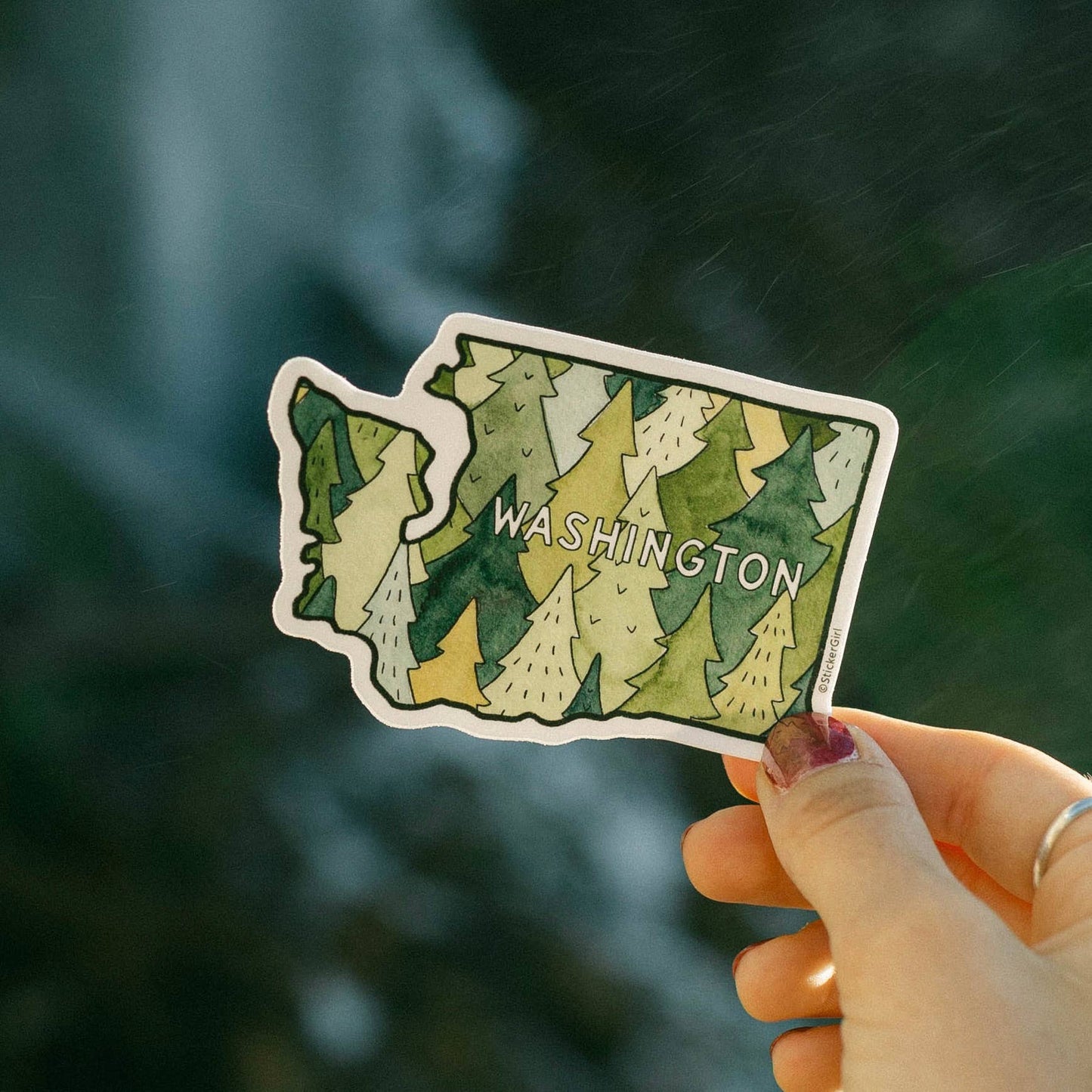 Washington State Trees Sticker