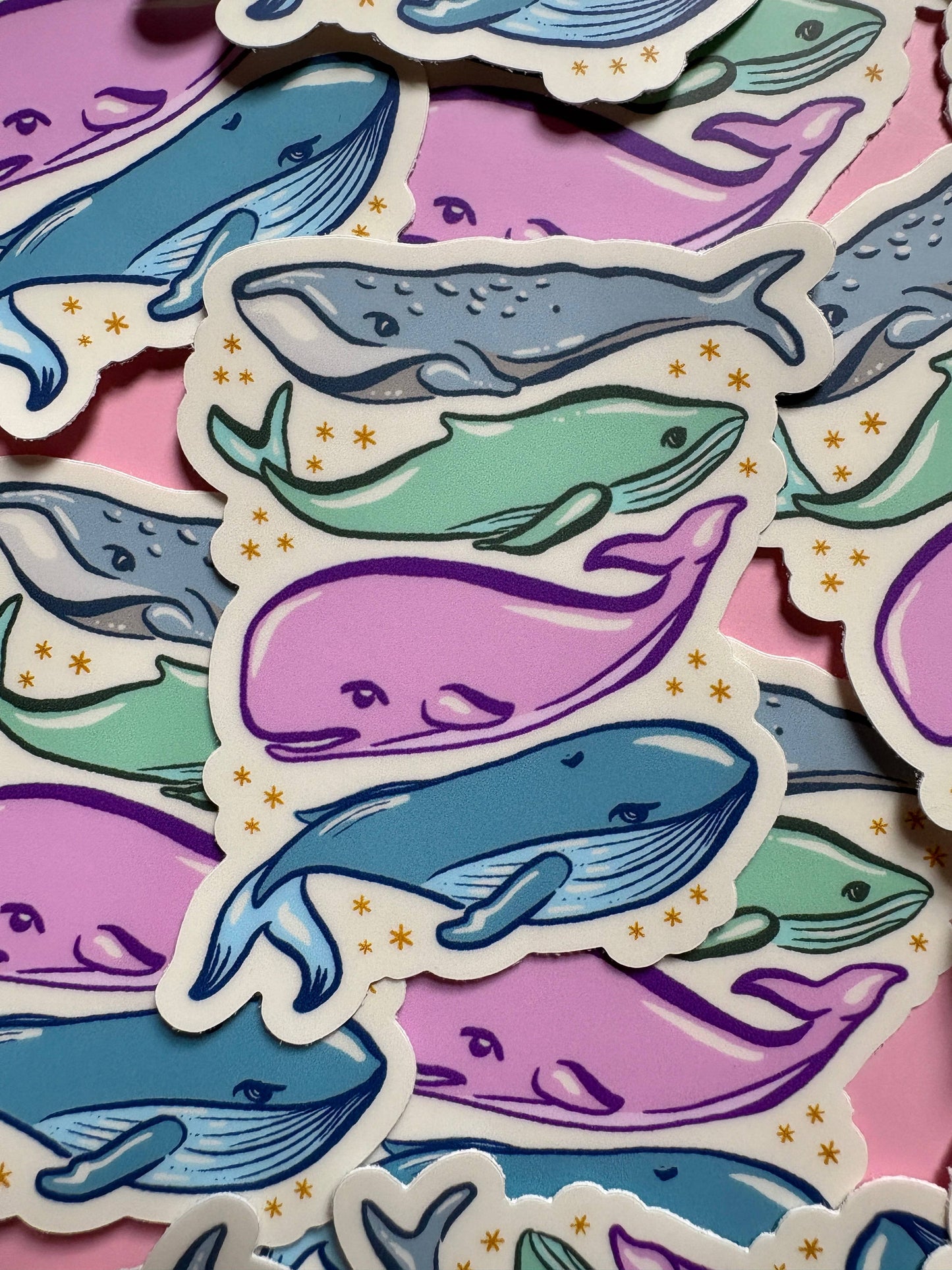 Whale Sticker, Humpback, Puget Sound, Blue Whale, Marine
