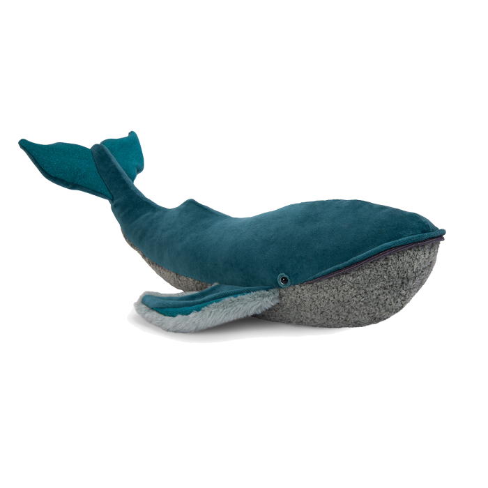 All Around the World Whale