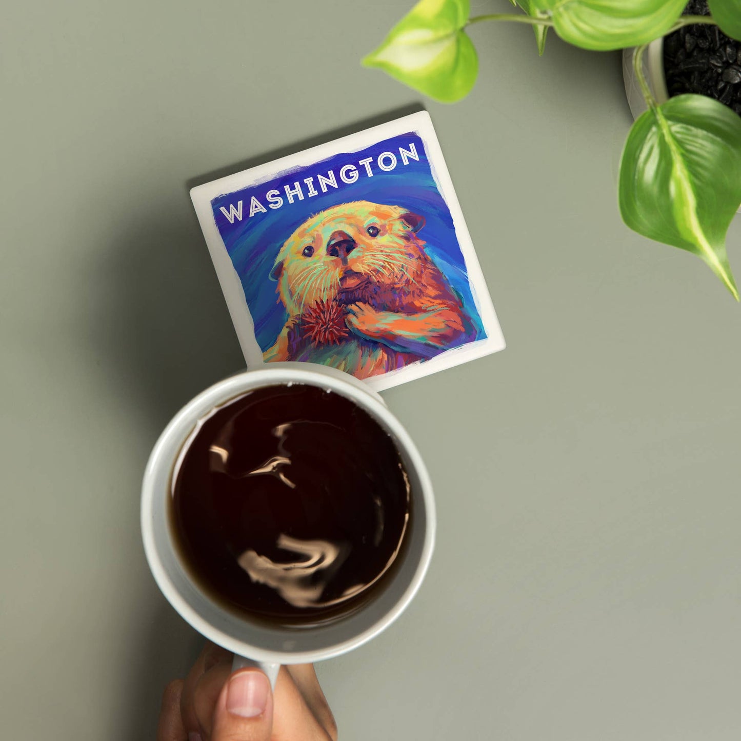 Washington Otter Coaster