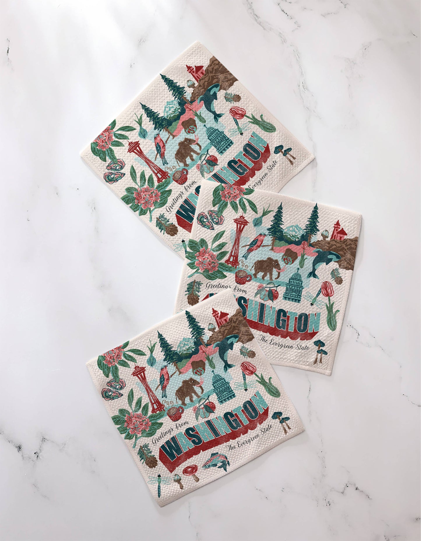 Greetings From Washington Dishcloth Set