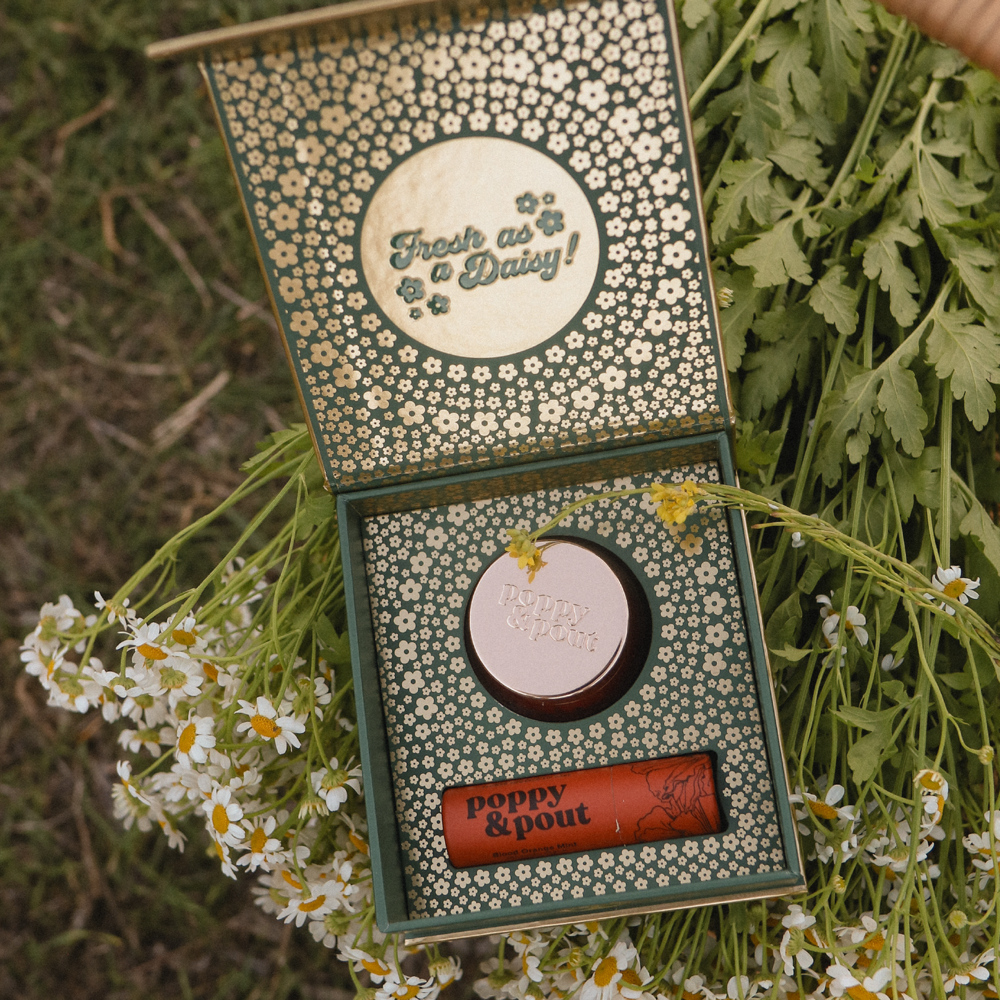 Lip Care Duo, Blood Orange Mint