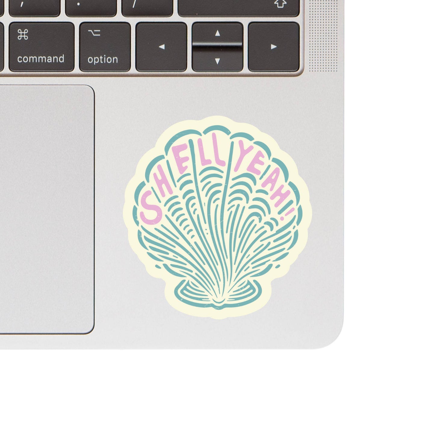 Shell Beach Ocean Sea Swear Funny High Quality Vinyl Sticker