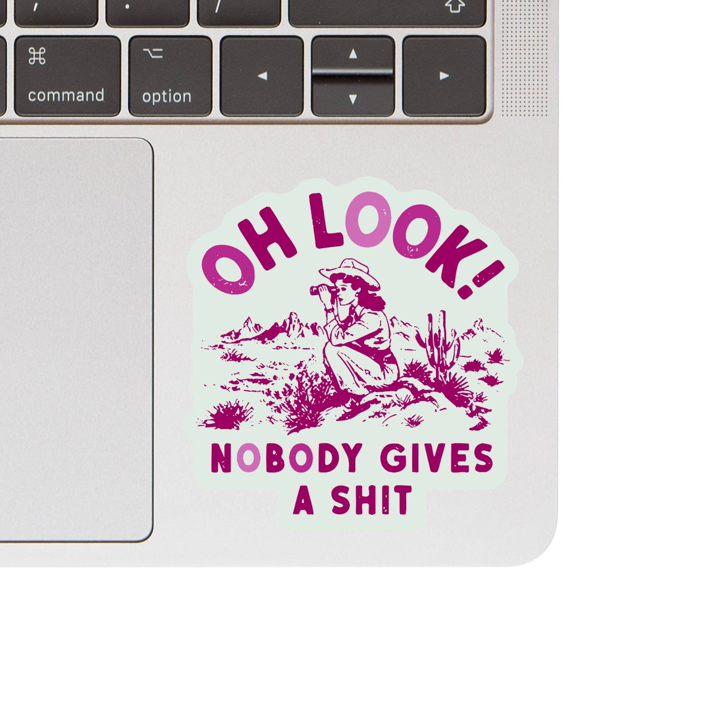 Oh Look! Nobody Gives A Shit Sticker